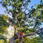 Profile Picture of Hisham Ali (@Hisham-Ali) on Facebook