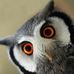 Profile Picture of Claude Sheehy (@claude.sheehy.71) on Facebook