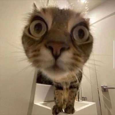 Profile Picture of Dax.thomas (@daxthomas9) on Twitter