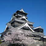 Profile Picture of 熊本城 (@kumamoto_castle) on Instagram
