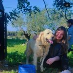 Profile Picture of amal zeidan (@amal_zeidan) on Instagram