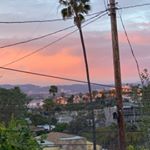 Kim Purvis • HippieRevival - Instagram Profile Picture of Kim Purvis • HippieRevival (@hippierevival) on Instagram