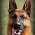 Profile Picture of Alex Pedersen (@alex.pedersen.1048) on Facebook