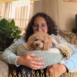 Profile Picture of Lilly Selim (@LillySelim7) on Twitter