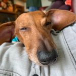 Profile Picture of Adrian Whitley Jayne (@eleminohpea) on Instagram