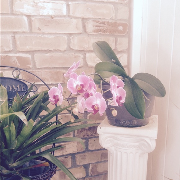 Profile Picture of Linda Grillot (@lgrillot) on Poshmark