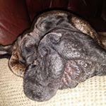 Profile Picture of Nathan McCormick (@nathan.mccormick.71653) on Instagram