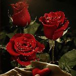 Profile Picture of sayed.mehdi.saedi (@sayed.mehdi.saedi) on Instagram