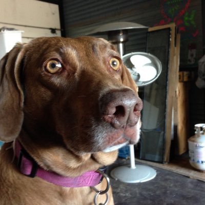 Profile Picture of Tom Stout (@mcdipity) on Twitter