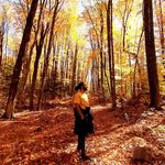 Profile Picture of Omar Tamer Seoudi (@omartamerseoudi) on Instagram