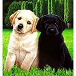 Profile Picture of marian schulter (@pretty_girl349394) on Instagram