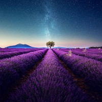 Profile Picture of Matthew Greenup (@matthew-greenup-1) on Quora