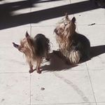 Profile Picture of Silvia Velazquez (@silvia.velazquez.75) on Instagram