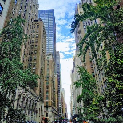 Profile Picture of PrestonVaughn (@PrestonVaughn14) on Twitter