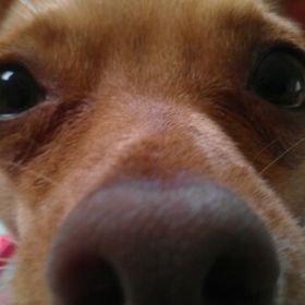 Profile Picture of jennifer stephens (@jenteach1st) on Pinterest