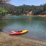 Profile Picture of Barb Terrell (@barb.terrell) on Instagram