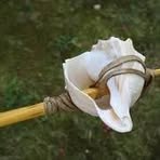 Profile Picture of Brian Schalhamer (@brian.schalhamer) on Facebook