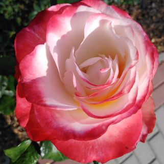 Profile Picture of Jacek Jurek (@jacek.jurek.963) on Facebook