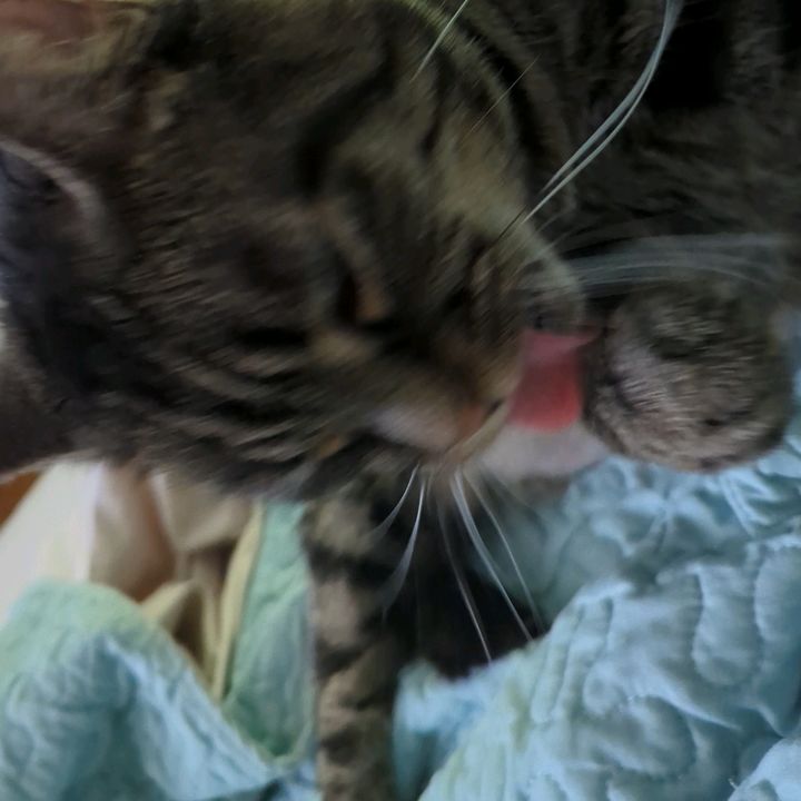 Profile Picture of Devon kimble (@devon.kimble) on Tiktok