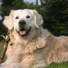 Profile Picture of Fabian Medrano (@fabianmedrano7) on Twitter