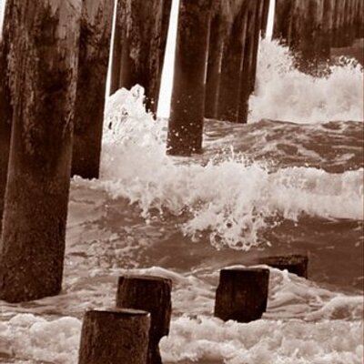 Profile Picture of Kim Thomas (@🏡) (@kathomas02) on Twitter