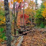 Profile Picture of Martha Minetree (@mmminetree) on Instagram