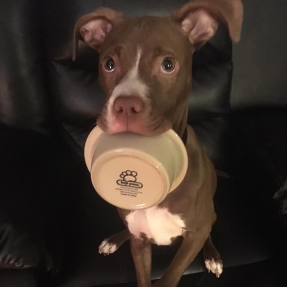 Profile Picture of Gabriella Gramble (@ggramble) on Poshmark