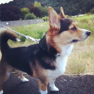 Profile Picture of Ann Brewer (@annbrewer2157) on Myspace