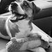 Profile Picture of Mandy Arsenault Limbaugh (@arsenaultlimbau) on Pinterest