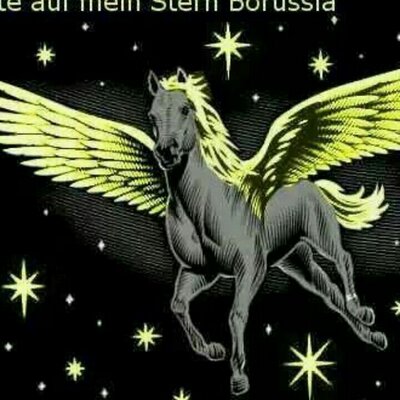 Profile Picture of Patrick Althoff (@AlthoffPatrick) on Twitter