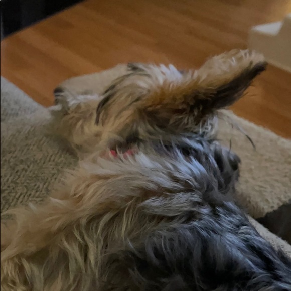 Profile Picture of Linda Mckim (@lmmckim) on Poshmark