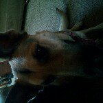 Profile Picture of Jeremy Janicki (@janicki97) on Instagram