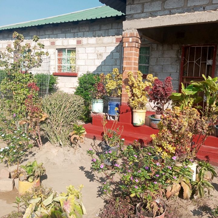 Profile Picture of Paul Kasusu (@paulkasusu) on Tiktok