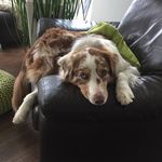 Profile Picture of Franz Resch (@franz__fx) on Instagram