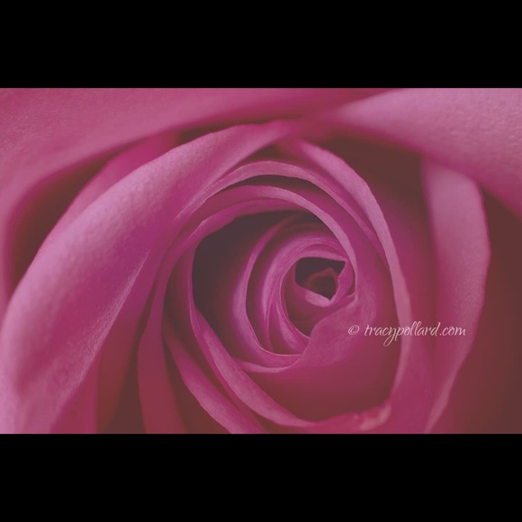 Profile Picture of Michelle Hinzman (@slh4982) on Poshmark