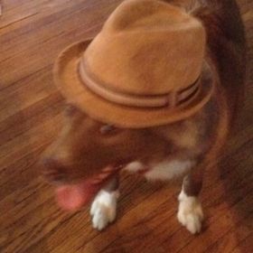 Profile Picture of Matthew Largent (@matthewlargent) on Pinterest