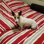 Profile Picture of Angela Pearce (@angela.pearce.180) on Instagram