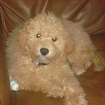 Profile Picture of Michael Prato (@prato.michael) on Instagram