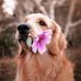 Profile Picture of Shannon Milstead (@shannon.milstead.3) on Facebook