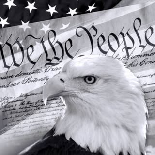 Profile Picture of Brian Fockler (@focklerbrian) on Instagram