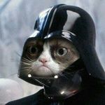 Profile Picture of Павел Шевчук (@pashka_shevhuk) on Instagram