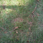 Profile Picture of Keith Greer (@keithgreer7709) on Youtube