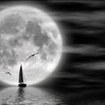 Profile Picture of John coffy (@coffyjohn) on Instagram