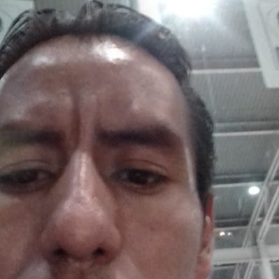 Profile Picture of Javier Adrian Ibarra Chavarría (@JavieradrianIb2) on Twitter