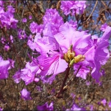 Profile Picture of Sunja Kim (@E6MCMSR94iHPtRp) on Twitter