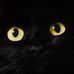 Profile Picture of Ann Yager (@ann.yager.125) on Facebook