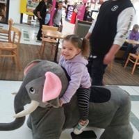 Profile Picture of Steven Mcshane (@steven-mcshane-5) on Quora