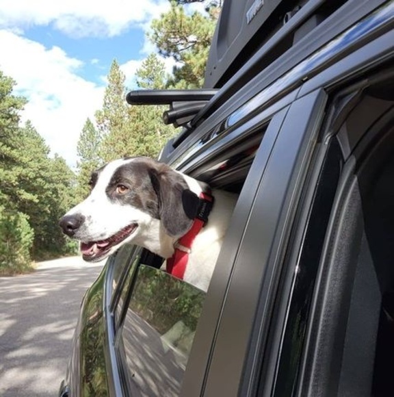 Profile Picture of Woonie Wubben (@monika7076) on Poshmark