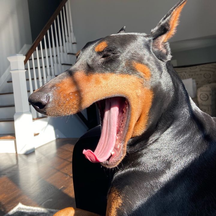 Profile Picture of 2 account (@marissa.mclaughlin) on Tiktok