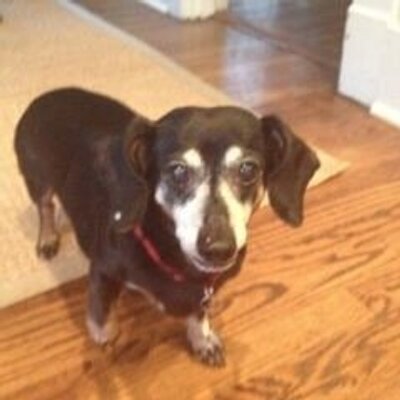 Profile Picture of Kim Coggin (@KimCoggin) on Twitter